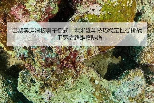 ba-li-ao-yun-hua-ban-nan-zi-jie-shi-ku-mi-xiong-dou-ji-qiao-wen-ding-xing-shou-tiao-zhan-wei-mian-zhi-lu-nan-du-dou-zeng-3-364.jpg