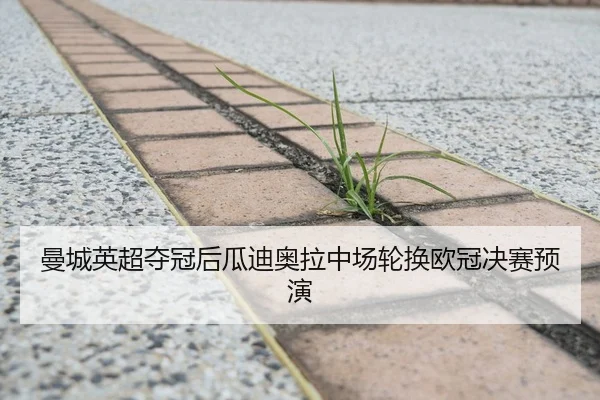 曼城英超夺冠后瓜迪奥拉中场轮换欧冠决赛预演