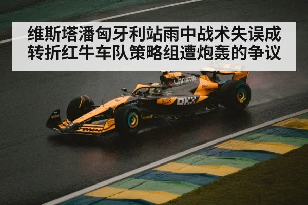 维斯塔潘匈牙利站雨中战术失误成转折红牛车队策略组遭炮轰的争议